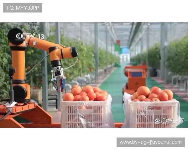 智能足球自动上胶机器提升训练效率和精准度的创新应用